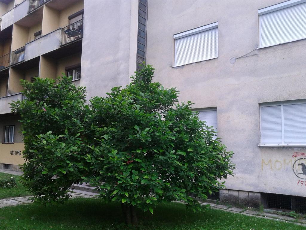 Apartment Ma 2 , 3 Rd Floor 巴尼西卢卡 外观 照片